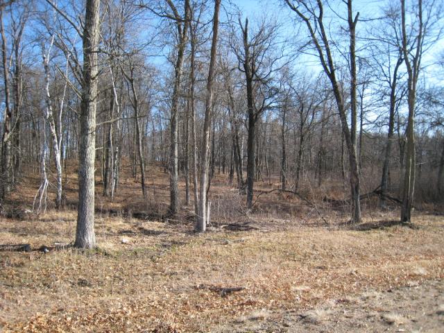 Lot4,Block1 Red Oak Drive, Hackensack, MN 56452