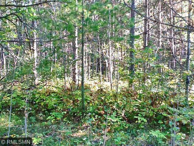 TBD County Rd. 39, Laporte, MN 56461