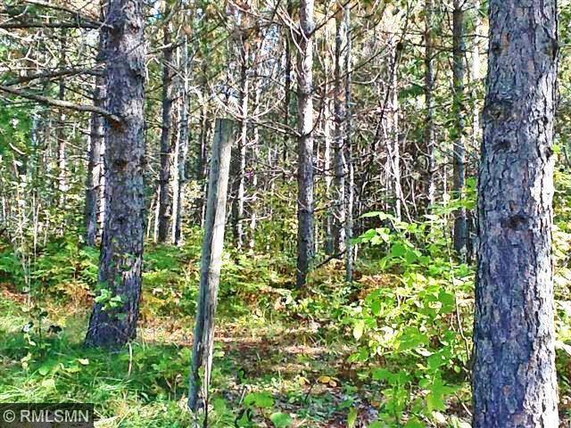 TBD County Rd. 39, Laporte, MN 56461
