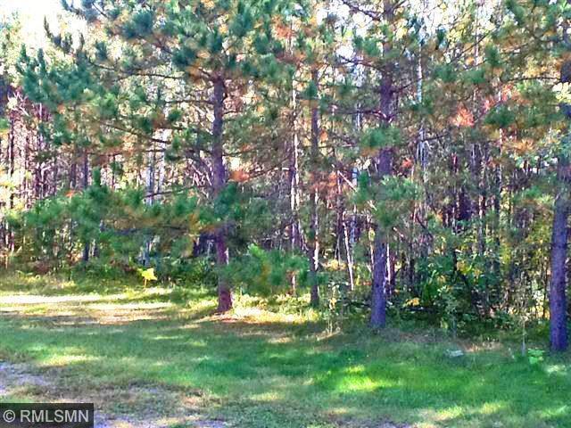 TBD County Rd. 39, Laporte, MN 56461