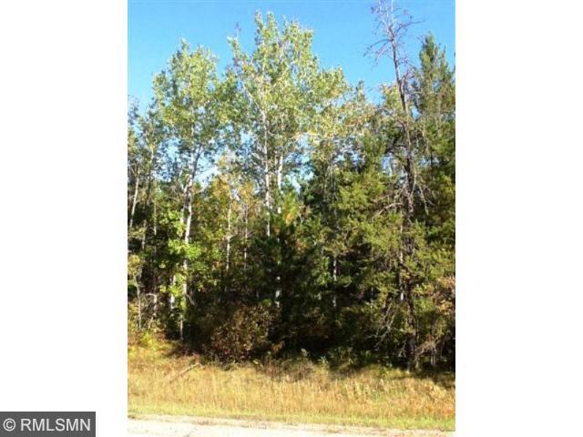 TBD County Rd. 39, Laporte, MN 56461