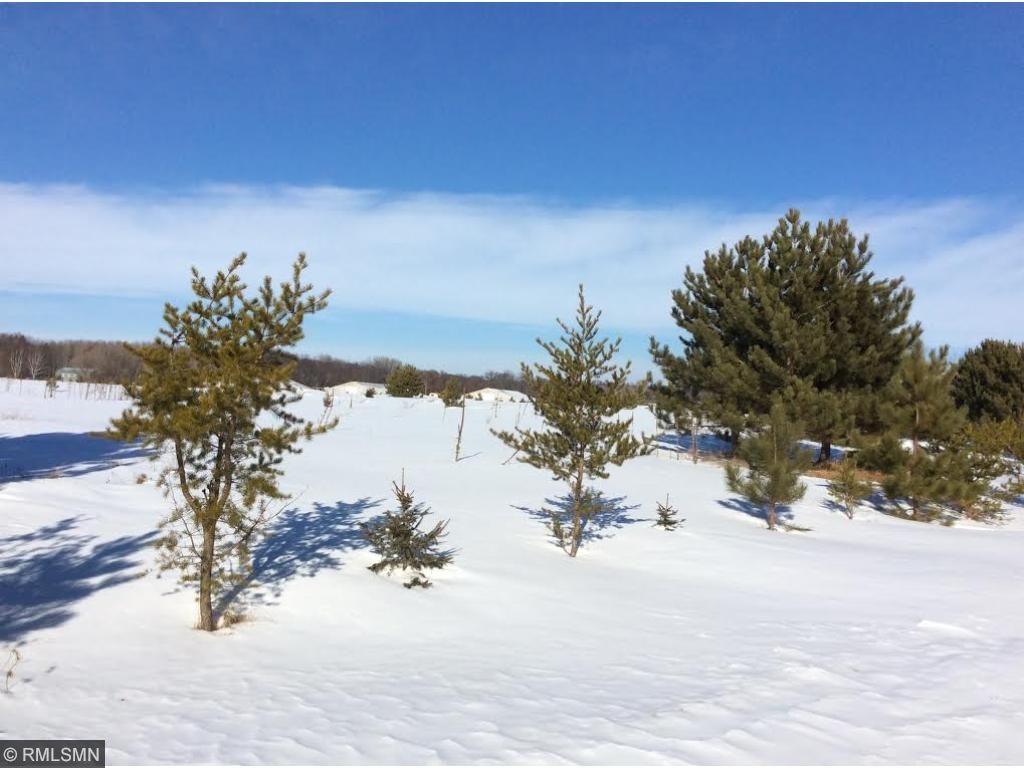 TBD2 Anderson Boulevard, Lake Edward Twp, MN 56465