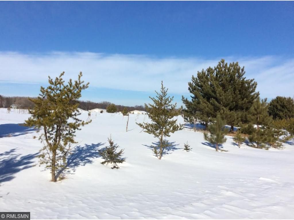 TBD2 Anderson Boulevard, Lake Edward Twp, MN 56465