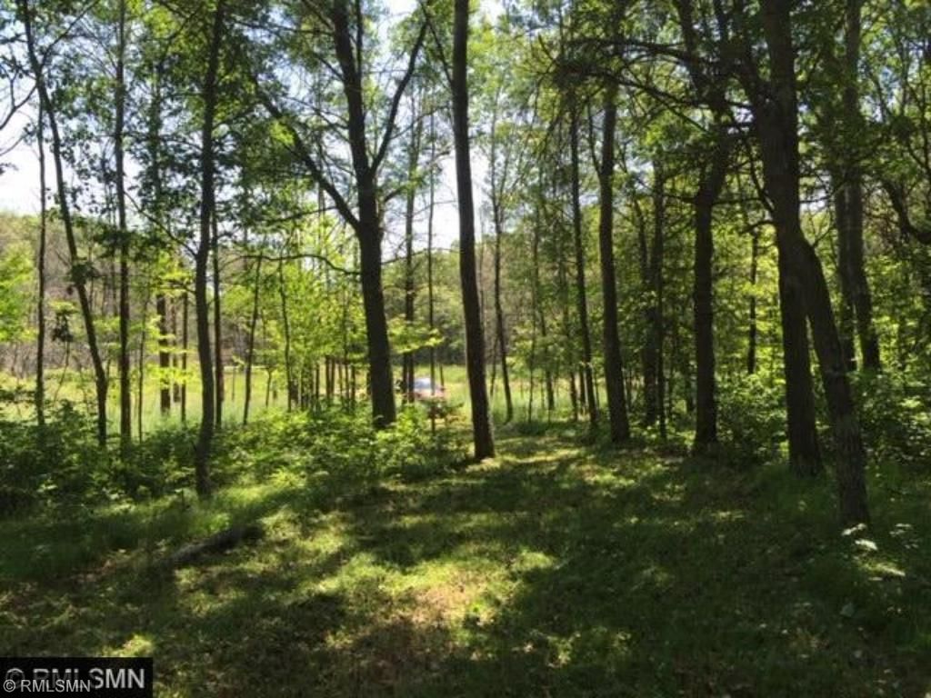 TBD Twin Lakes Road, Merrifield, MN 56465