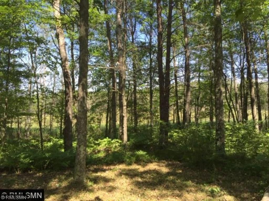 TBD Twin Lakes Road, Merrifield, MN 56465