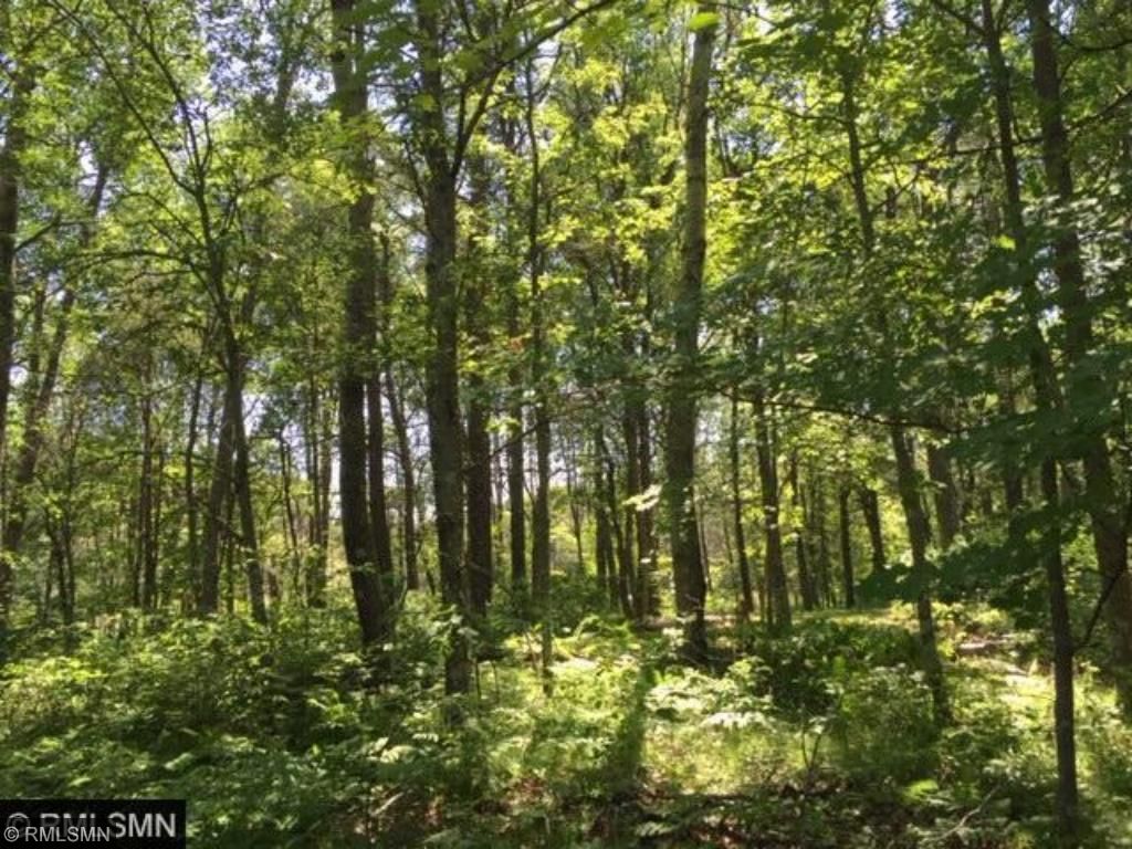 TBD Twin Lakes Road, Merrifield, MN 56465