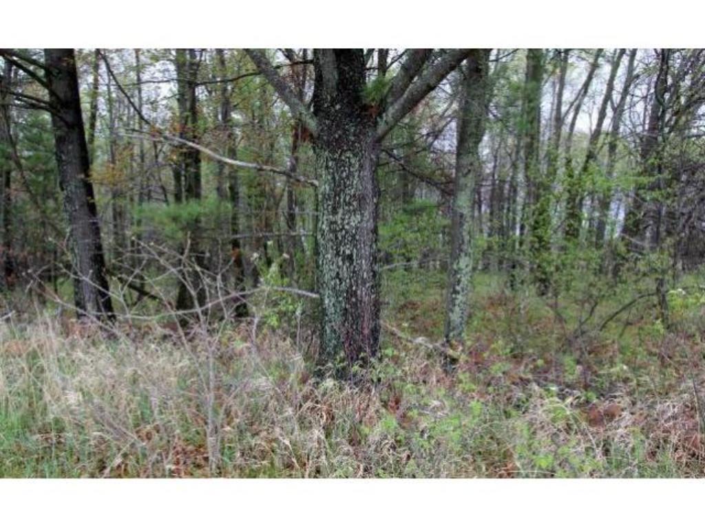 TBD Old Mill Road, Merrifield, MN 56465