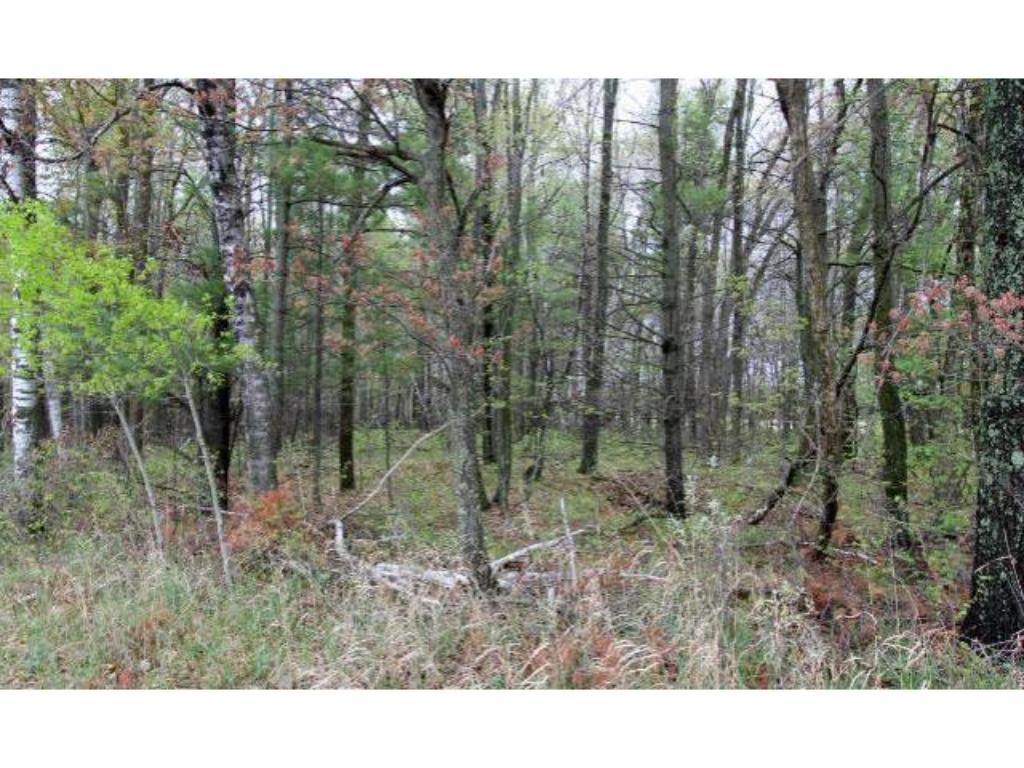 TBD Old Mill Road, Merrifield, MN 56465