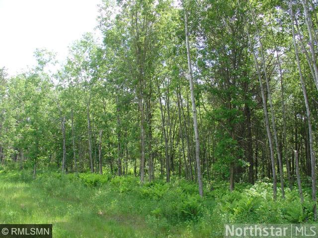 Lot 1 Crystal Court, Lake Edward Twp, MN 56465