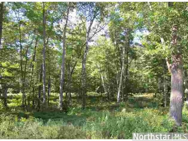 Lot9, Block1 Antler Road, Merrifield, MN 56465