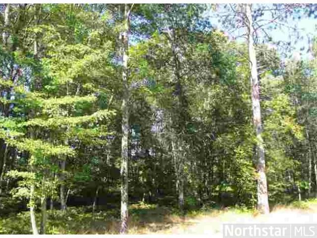 Lot9, Block1 Antler Road, Merrifield, MN 56465