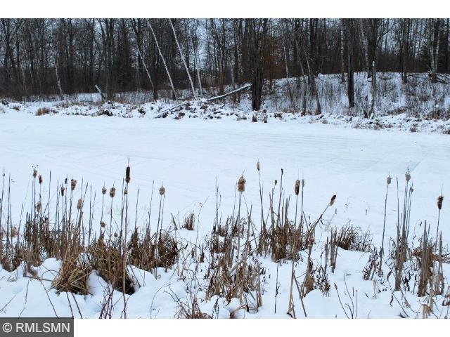 XXX King Richard Ave SW, Motley, MN 56466
