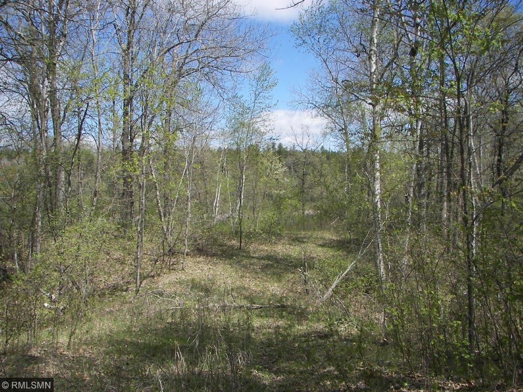 x6x Fairview Trail, Nevis, MN 56467