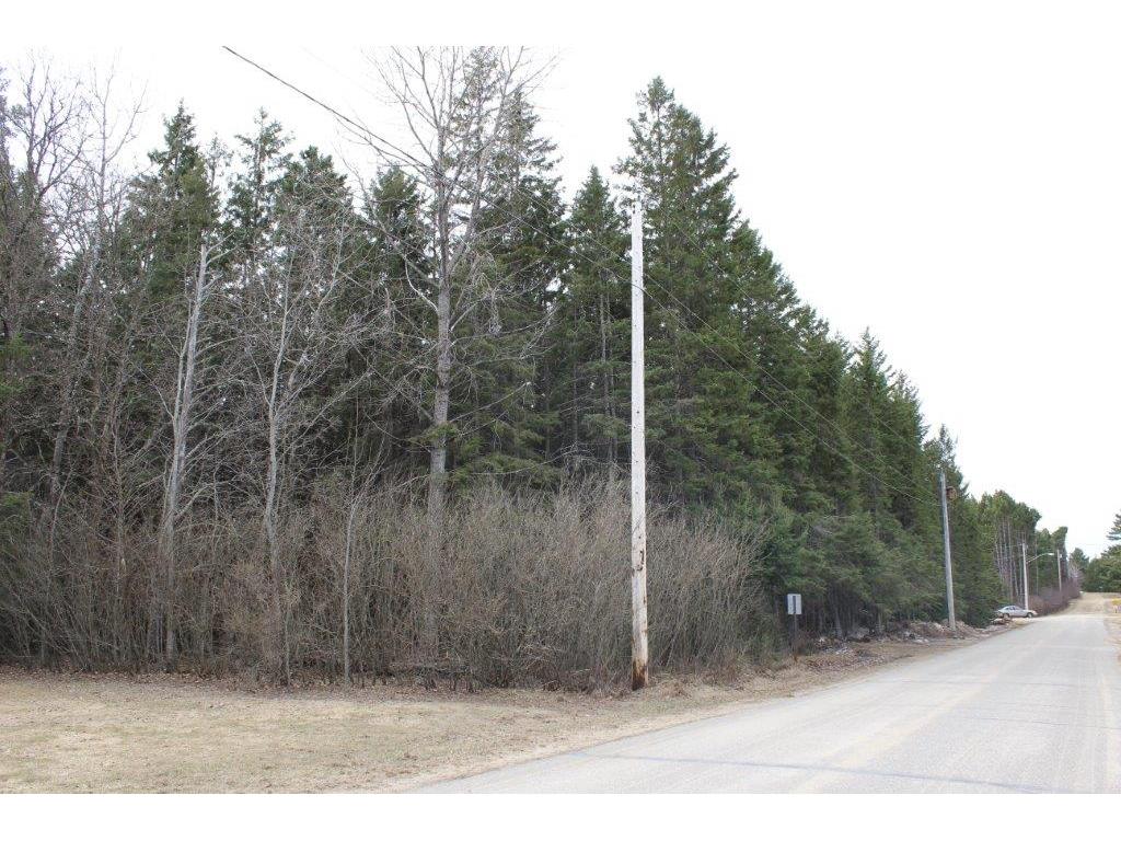 TBD North Street, Nevis, MN 56467