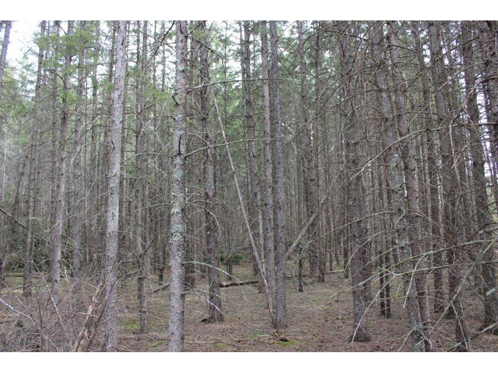 TBD North Street, Nevis, MN 56467