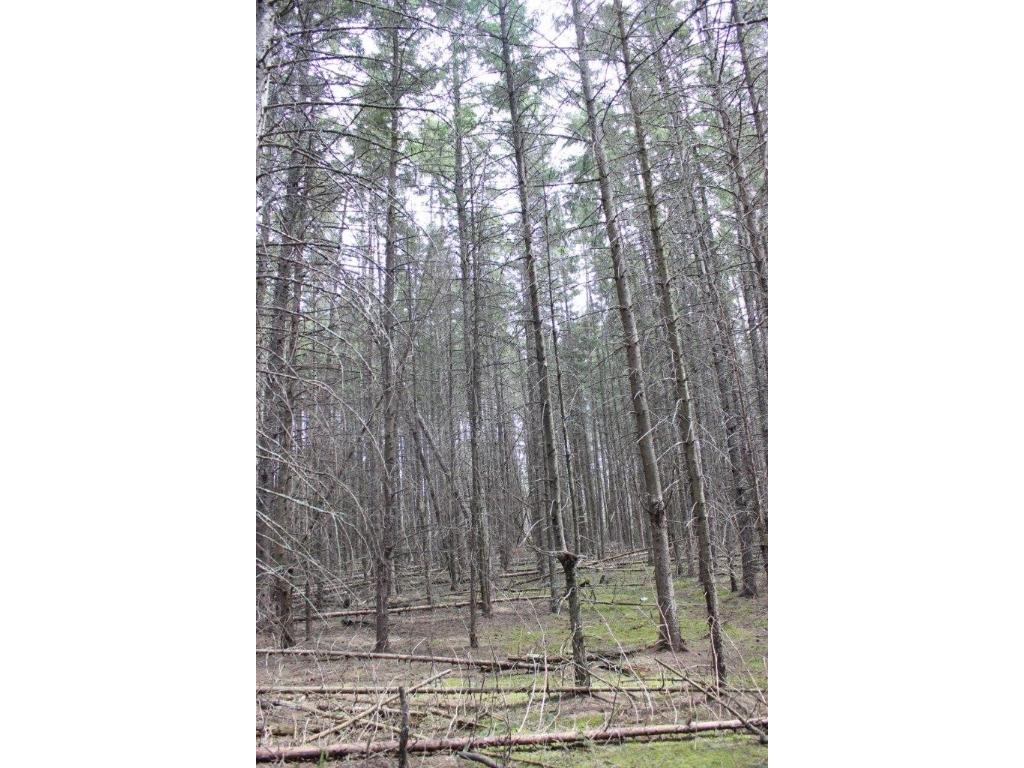 TBD North Street, Nevis, MN 56467