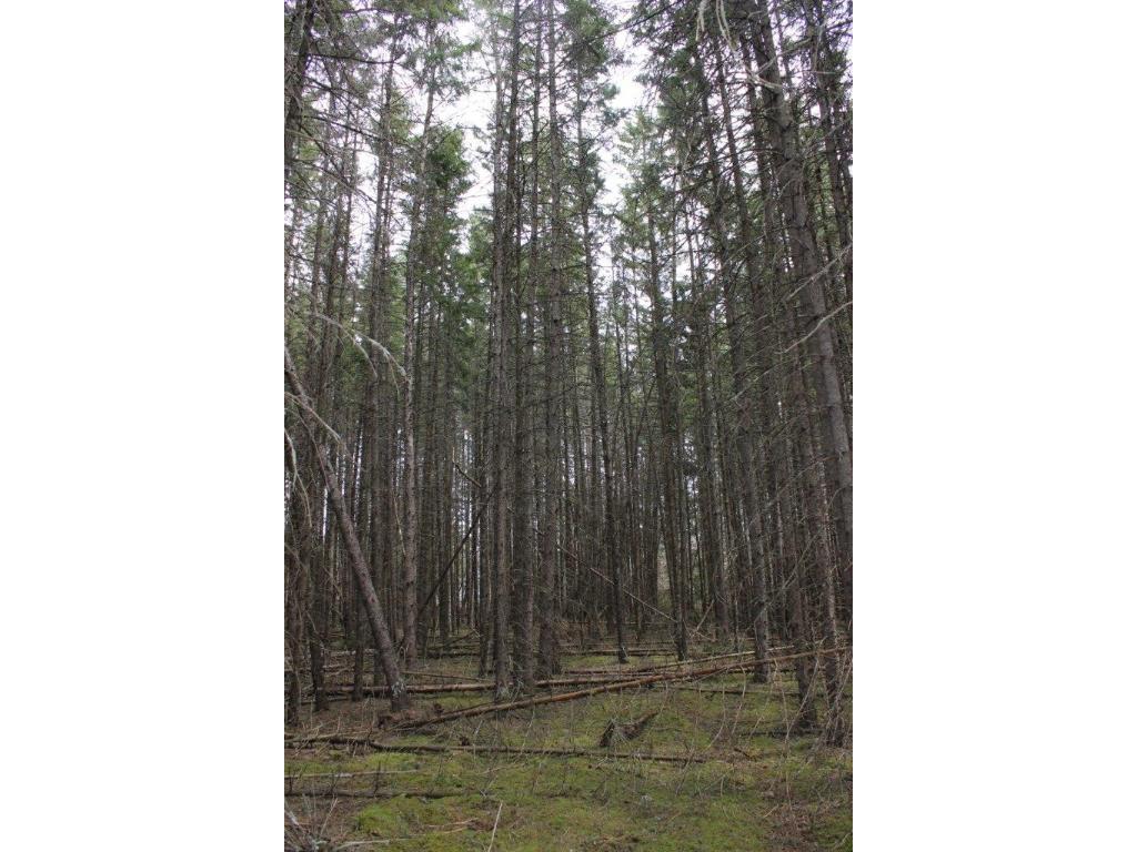 TBD North Street, Nevis, MN 56467