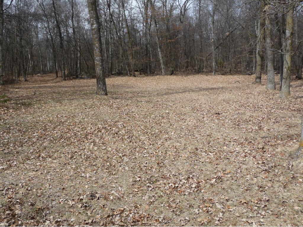xxx Fair Oaks Drive, Nevis Twp, MN 56467