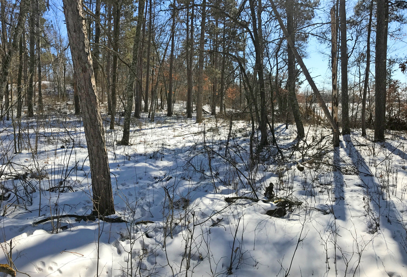 TBD Great Deer Drive, Nevis, MN 56467