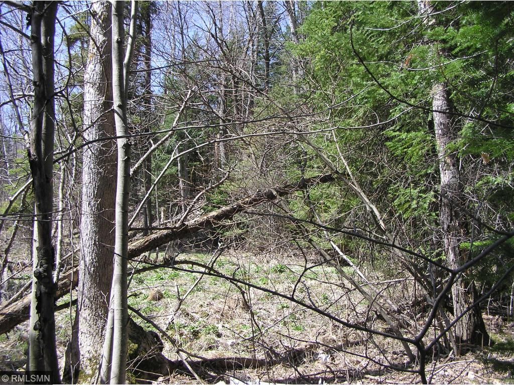 TBD Elderberry Circle, Nevis, MN 56467
