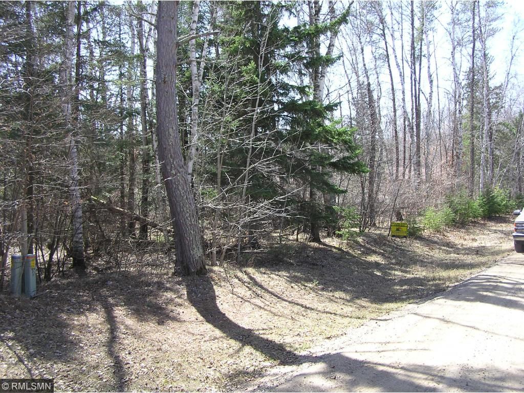 TBD Elderberry Circle, Nevis, MN 56467