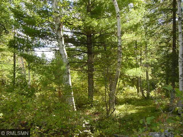 23495 Ivory Drive, Nevis, MN 56467