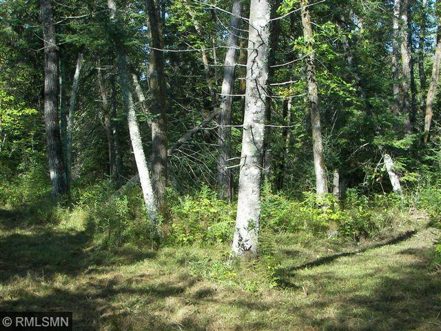 23495 Ivory Drive, Nevis, MN 56467