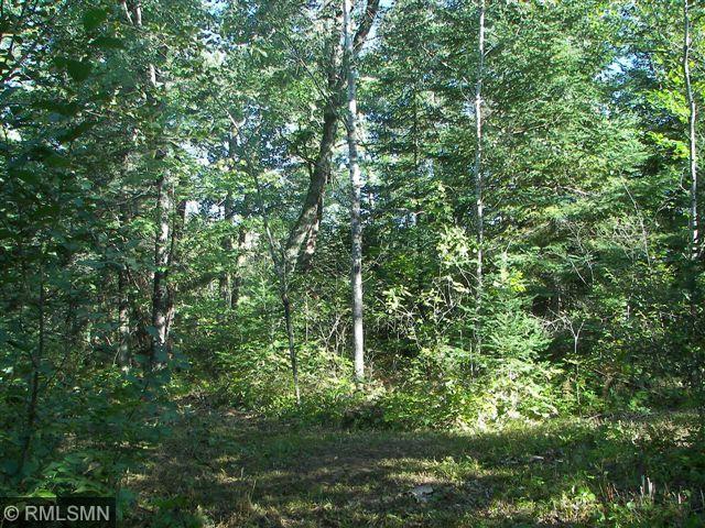 23495 Ivory Drive, Nevis, MN 56467