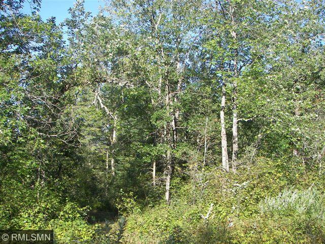 23495 Ivory Drive, Nevis, MN 56467