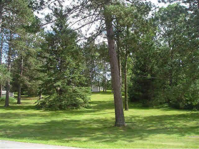 XXX Pleasant Street, Nevis, MN 56467
