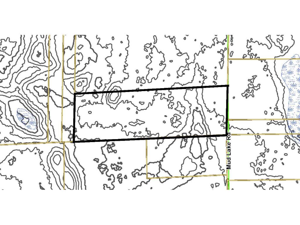 TractI Mud Lake Road, Lake Edward Twp, MN 56468