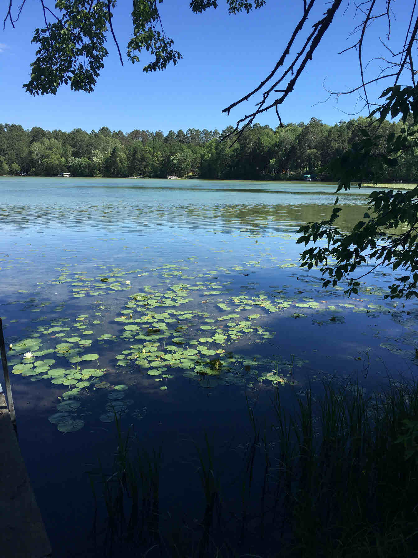 TBD 110th Street, Park Rapids, MN 56470