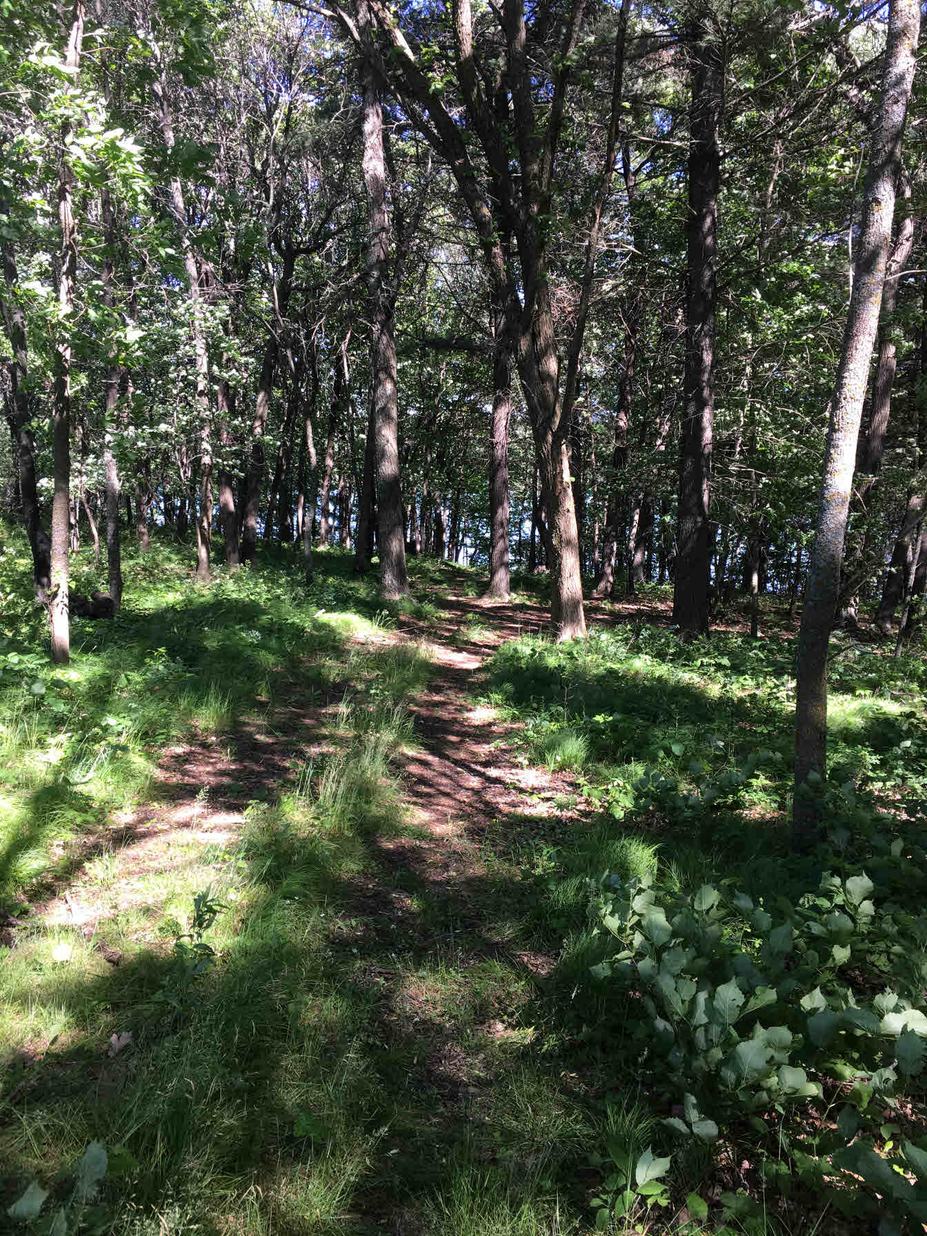 TBD 110th Street, Park Rapids, MN 56470