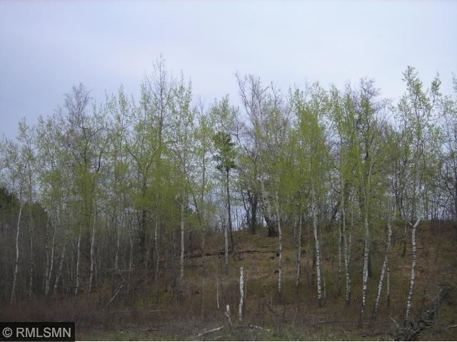 TBD Fenwick Circle, Todd Twp, MN 56470