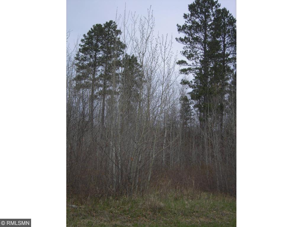 Lot 10 Blk 1 Fenwick Circle, Park Rapids, MN 56470