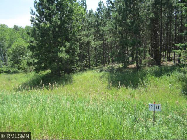 TBD 204th Street, Henrietta Twp, MN 56470