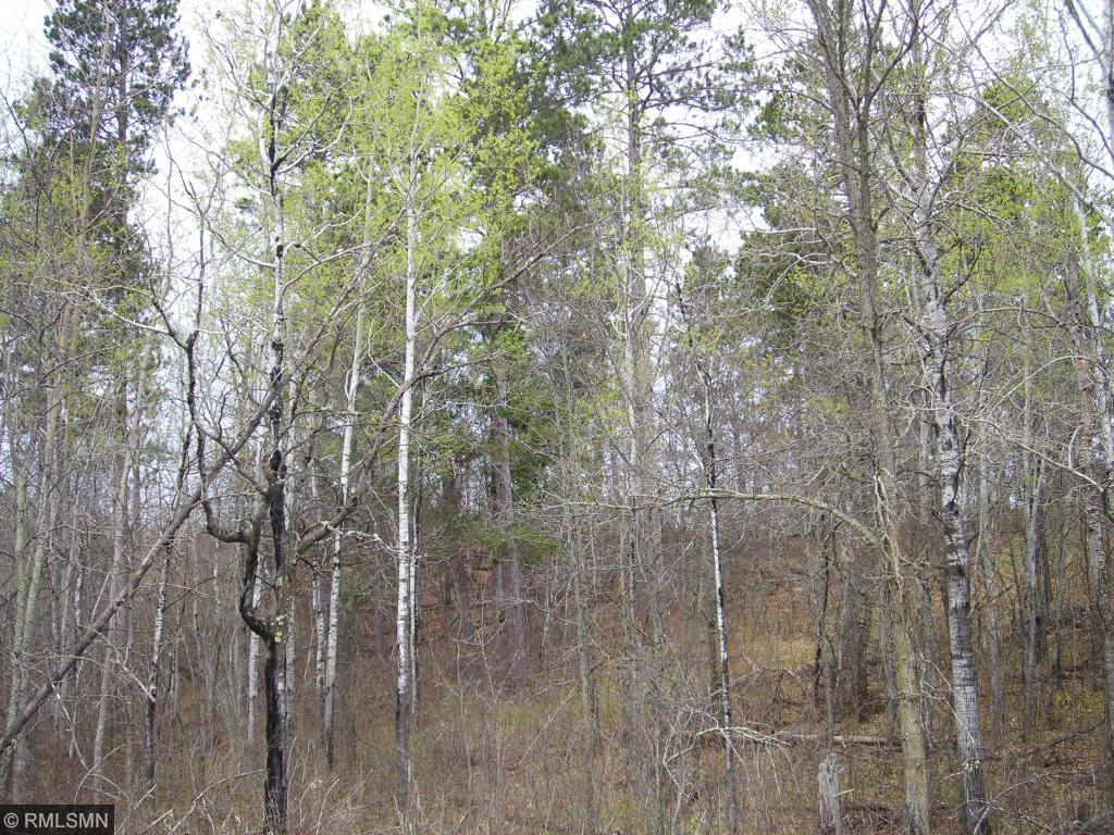 Lot 12 Blk 1 Fenwick Circle, Park Rapids, MN 56470