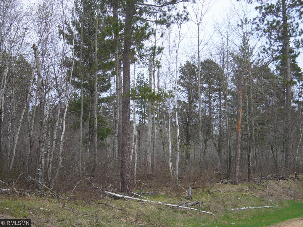 Lot 5 Blk 2 Fenwick Circle, Park Rapids, MN 56470