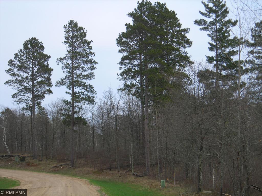 Lot 4 Blk 2 Fenwick Circle, Park Rapids, MN 56470