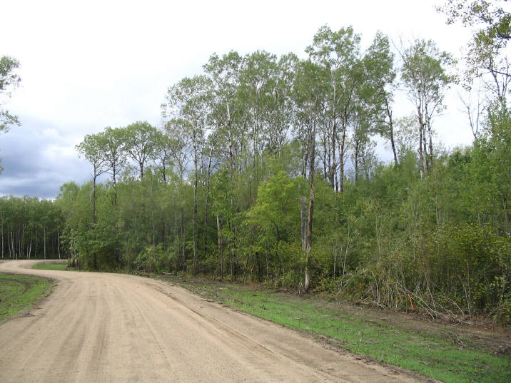 TBD Ember Circle, Park Rapids, United States 56470