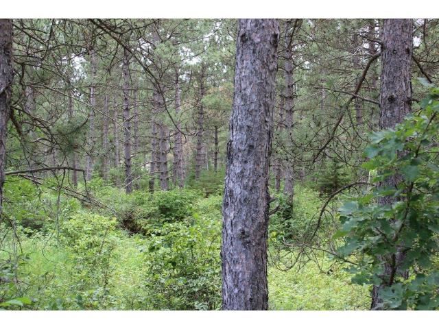 Lot4 Blk2 169th Ave, Park Rapids, MN 56470