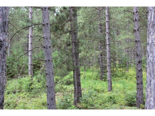 Lot2 Blk2 169th Ave, Park Rapids, MN 56470