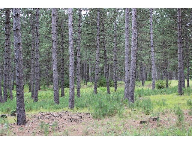 Lot1 Blk2 169th Ave, Park Rapids, MN 56470