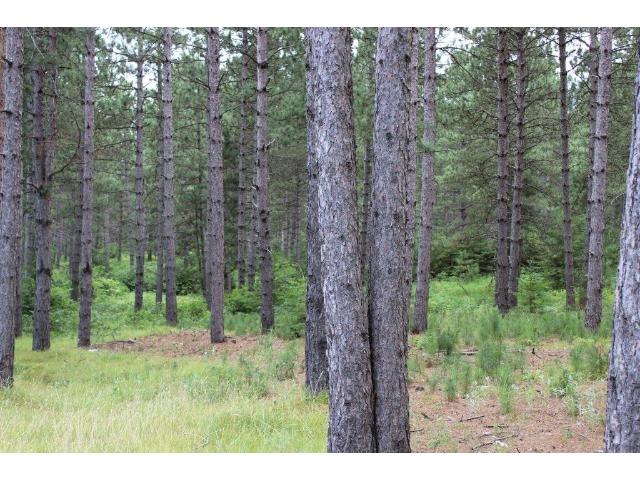 Lot1 Blk2 169th Ave, Park Rapids, MN 56470