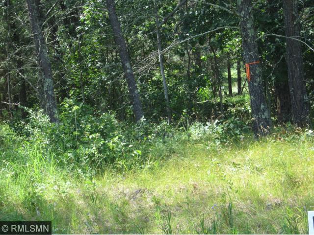 TBD 204th Street, Park Rapids, MN 56470