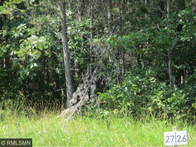 ss Fairwood Drive, Henrietta Twp, MN 56470