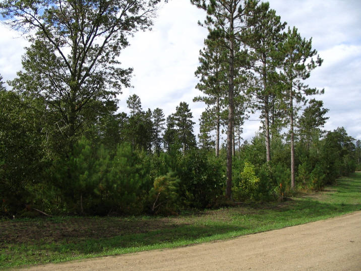TBD Ember Circle, Park Rapids, United States 56470