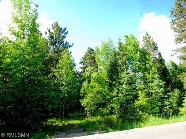 DEF 210th Street, Park Rapids, MN 56470