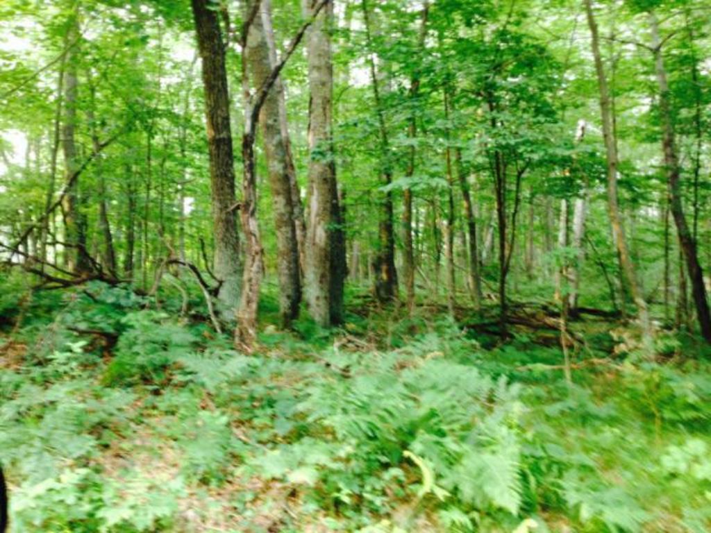 XXX Red Oak Road, Pequot Lakes, MN 56472