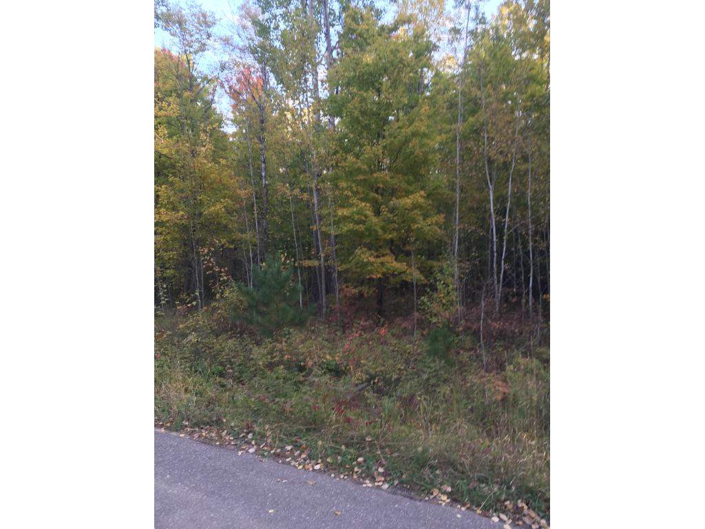 XXX Red Oak Road, Pequot Lakes, MN 56472